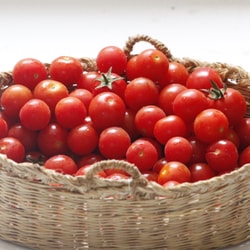 Tomate Cherry