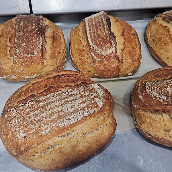 Pan Gallego - Hogaza de 680-690gr