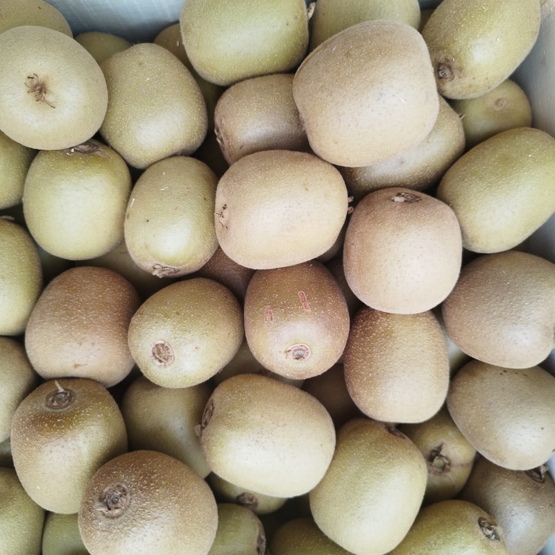 Kiwi Gold (Amarillo)